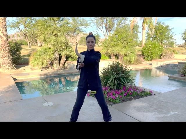 Wing Chun Online - Sil Lim Tao (Siu Nim Tao or Siu Lim Tao) by Sifu Kendra Mahon