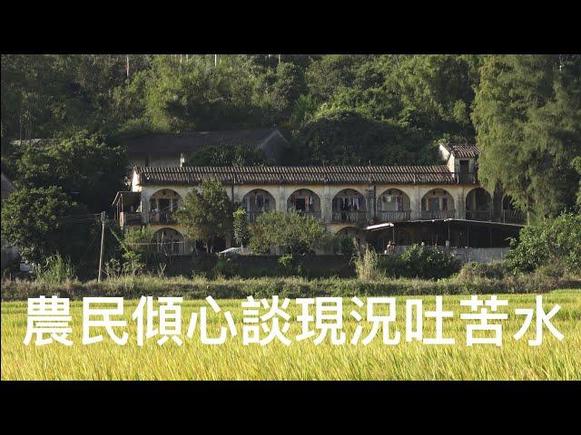 台山 Toishan 白沙大嶺里。自從80年代初，南方日報介紹此鄉村莊，在解放前出了几十位博士，之後“博士村”的名字就流傳至今。