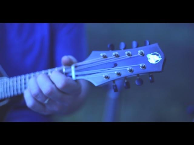 Muleskinner Instruments - #009 Blue Burst (walnut//adirondack spruce)