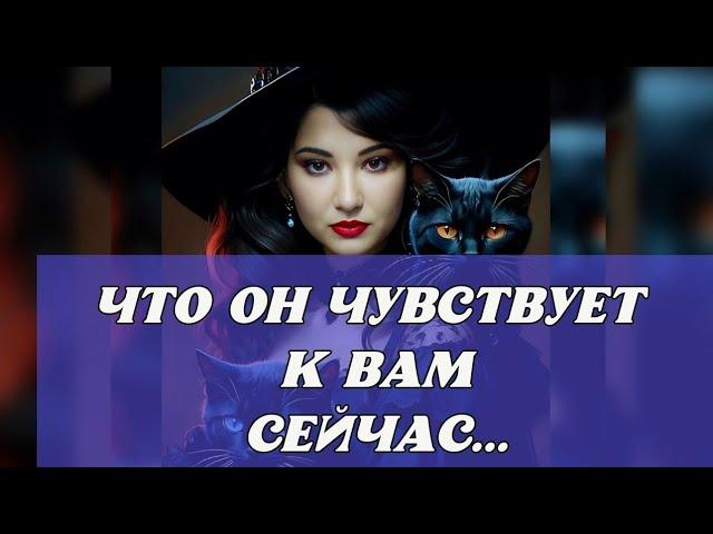 ЧТО ПРОИСХОДИТ У МУЖЧИНЫ В ЖИЗНИ, ЕГО ОТНОШЕНИЕ К ВАМ СЕЙЧАС 