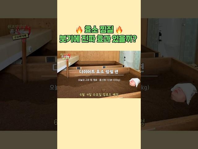 [수요미식해] 효소 찜질 리얼 찐 후기 #홍신애 #효소다이어트 #효소찜질 #붓기완화 #자하생식
