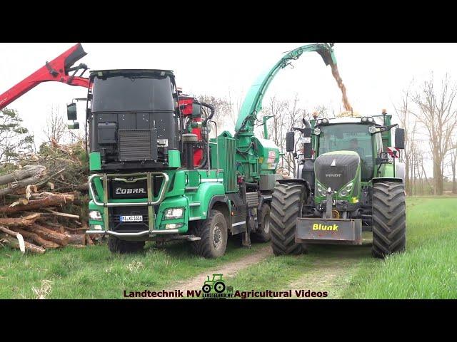 Jenz Cobra - Fendt - Tebbs / Holz Hacken - Chopping Wood  2022