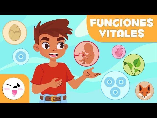 Las FUNCIONES VITALES de los SERES VIVOS - Relación, nutrición y reproducción - Ciencias para niños