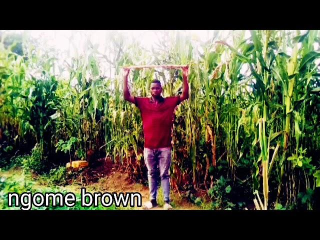 harmonize tz na mkato mpya tizama. ngome brown