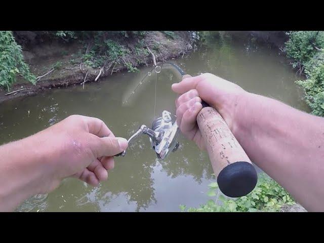 MONSTER Fish SNAPS My Rod!! (Huge Fish from a TINY Creek)