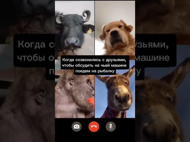 Созвонились с друзьями