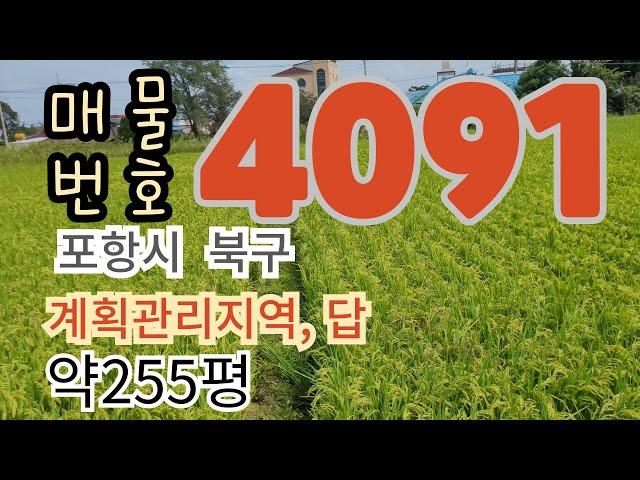 255여평, 농지(답,농로 접), 바다 인근.