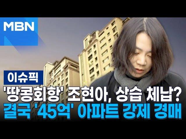 '땅콩회항' 조현아, 상습 체납하더니…결국 '45억' 아파트 강제 경매 | 이슈픽