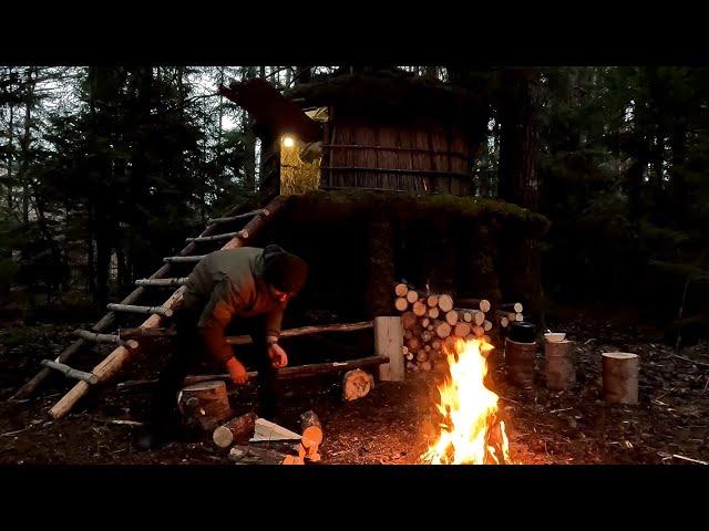 Building a cozy shelter around a Christmas tree for survival in the wild