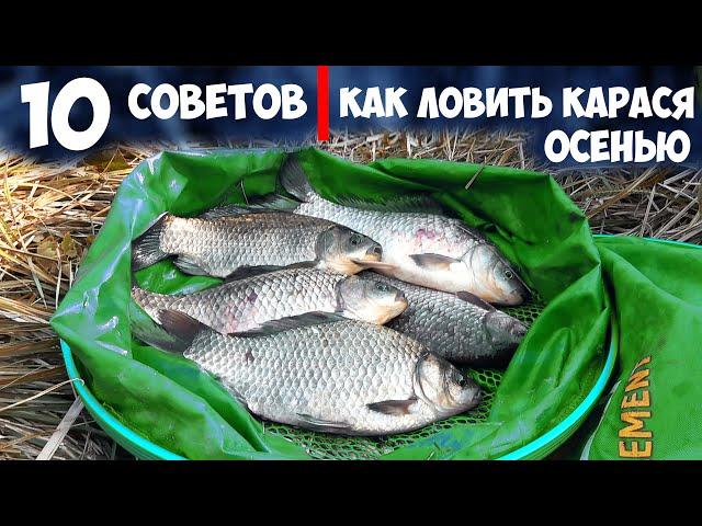 10 СОВЕТОВ для РЫБАЛКИ на КАРАСЯ ОСЕНЬЮ. КАК ЛОВИТЬ КАРАСЯ в ХОЛОДНОЙ ВОДЕ