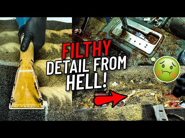 FILTHY Complete Disaster Car Detailing Restoration! Deep Cleaning A Filthy Nissan Frontier