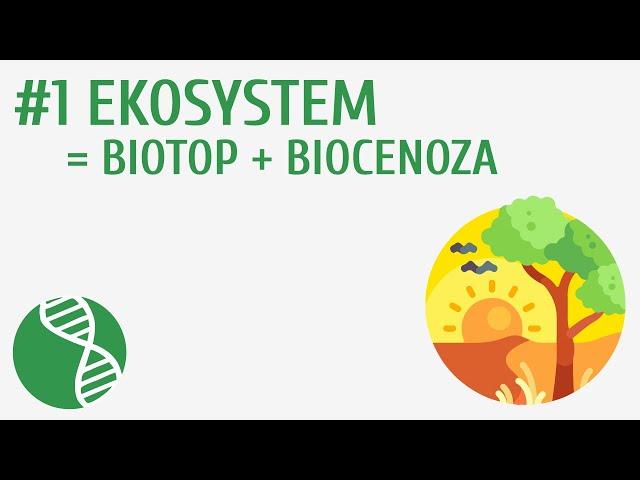 Ekosystem = biotop + biocenoza #1 [ Ekologia ]