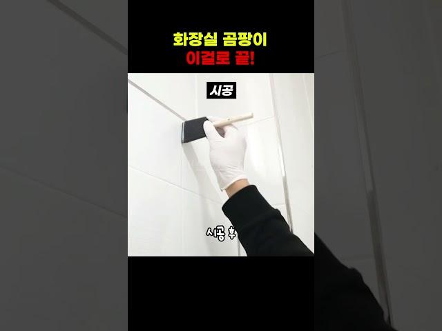 곰팡이 없는 화장실 만드는방법#shorts #diy #방수제