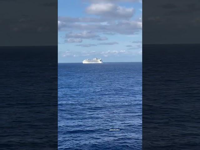 Wonder of the Sea spotted in the Atlantic 