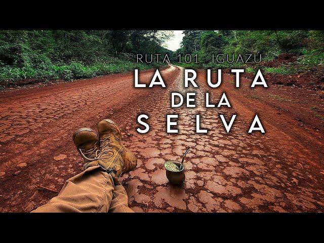 La Ruta de la Selva | Aves, Mamíferos y Mariposas de la selva de Misiones en Iguazú - Argentina