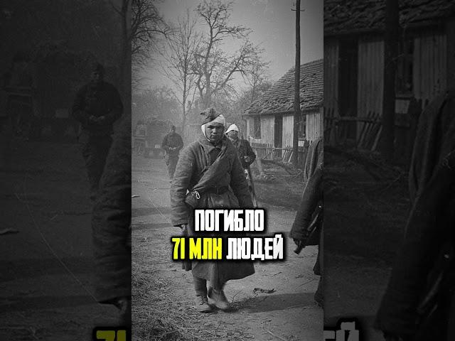 Шокирующие цифры Второй мировой войны