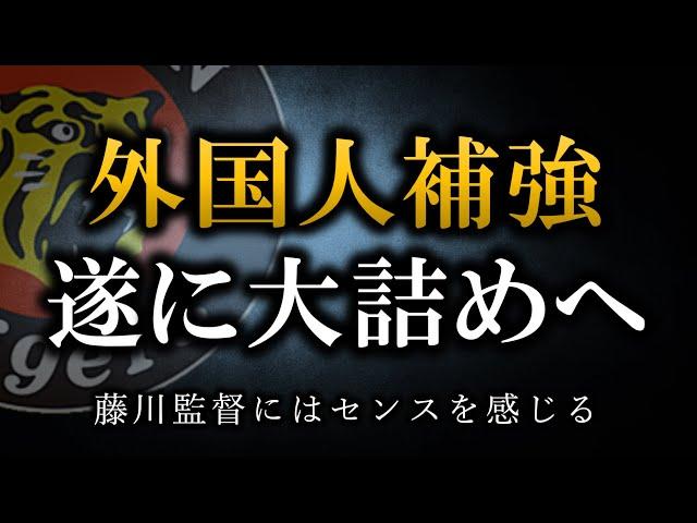 藤川監督と共鳴している【阪神外国人補強】