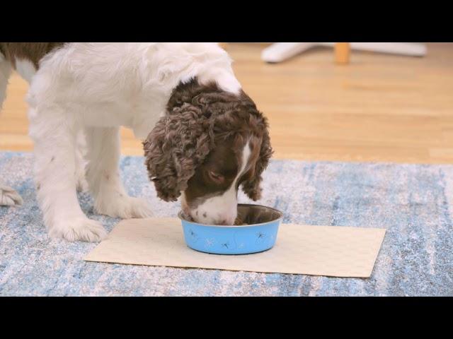 Nutro Natural Choice Large Breed Adult Chicken & Brown Rice Recipe | PuppySimply