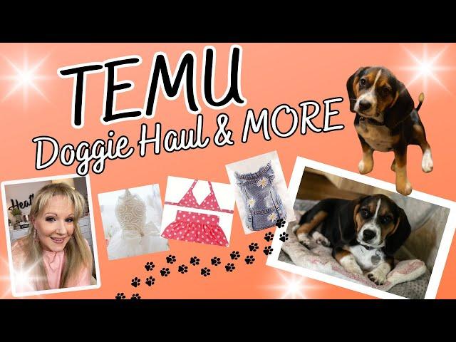 TEMU HAUL Doggie Fashion Show & MORE With A Little Chit-Chat :)