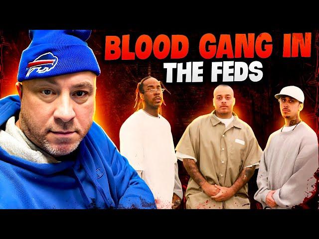 NY Blood Shot Caller Gets Busy In The Feds.