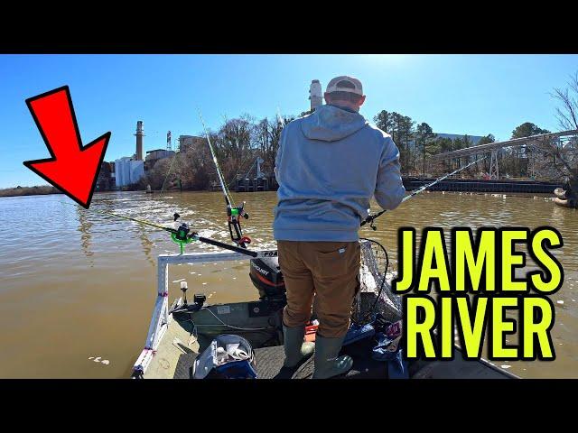 JAMES RIVER FISHING in RICHMOND VIRGINIA! CATCHING CATFISH in THE JAMES! SHAD HUNTING! GILL NETTING!