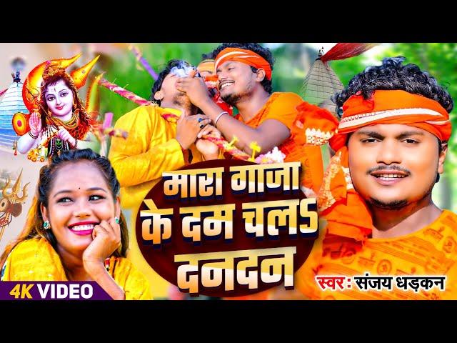 #video - मारा गांजा के दम चल दनादन | #Sanjay_Dhadkan Bol Bam Song | Mara Ganja Ke Dam Chala DanaDan