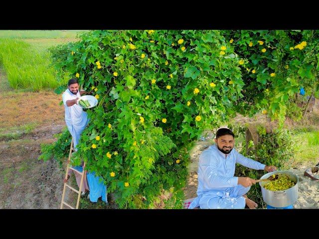 Aj ka  Lunch Fresh Tori ki Sabzi Bohat Maza Aya Our Fresh Tori Alhudullillah | Tori ki Recipe