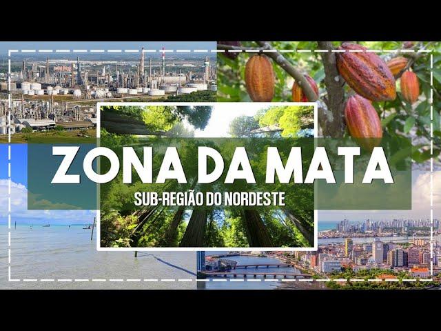 As sub-regiões do Nordeste: Zona da Mata