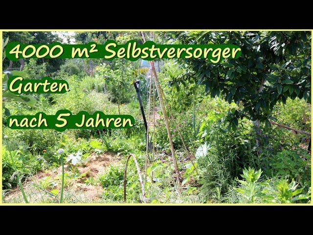 Riesen Gartenrundgang im Selbstversorgergarten Permakultur