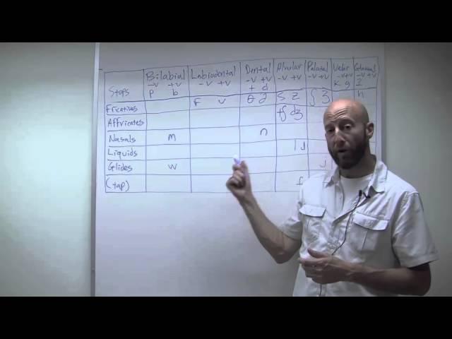 Phonetics (pt. 2)