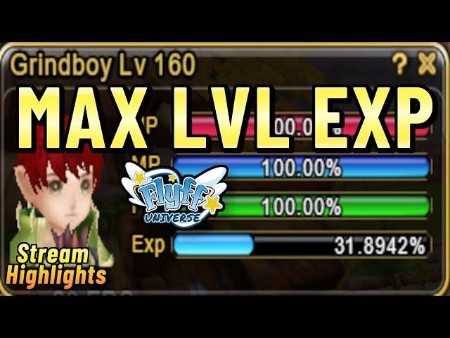 Wieviel EXP bekommt man im Endgame MAX Level Grind von Flyff?