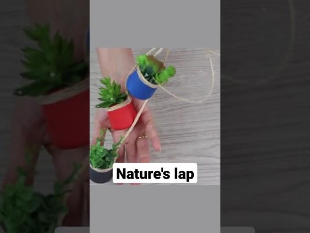 diy planter | 3 Planter in one | decor | nature's lap