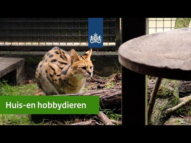 De huis- en hobbydierenlijst