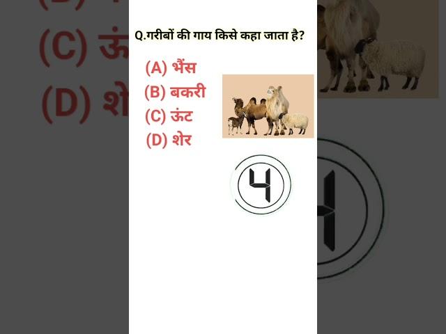 Intresting question can you answer this?? | GK question| #gk #entertainment #gkquestion #facts