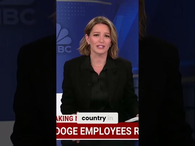 Doge Staffers Resign: A Warning for American Security