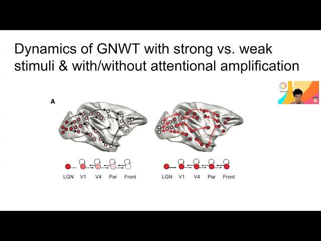 Wk 8-6 What is the global neuronal workspace  theory (GNWT)?
