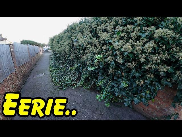 How Would You Feel Using This Alley At Night? Overgrown & Eerie!