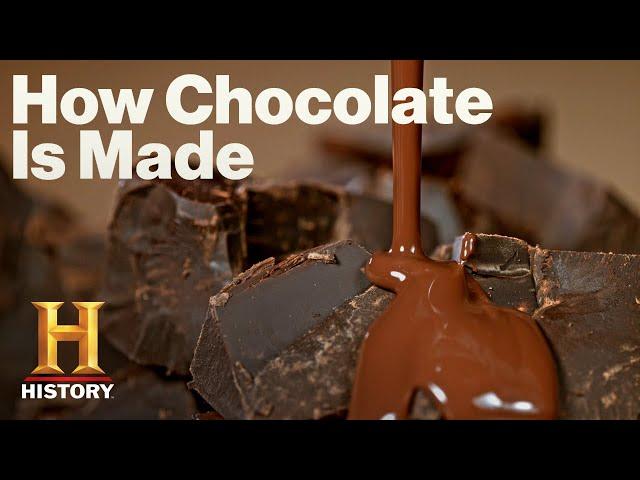 Modern Marvels: The Art of Chocolate Making (From Bean to Bar!) (Season 18) | History