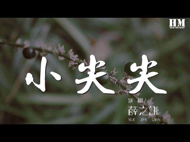 薛之謙 - 小尖尖『都心照不宣 多少有些遮掩』【動態歌詞Lyrics】