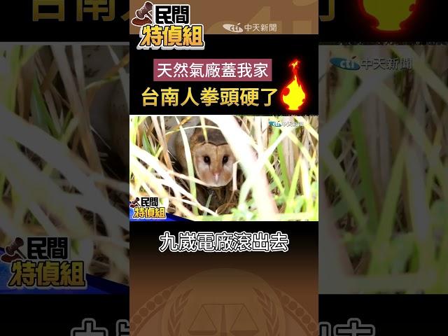 郭台強蓋天然氣近住宅遭抗議！曝台糖派員到九崴當一級主管引聯想【#民間特偵組】 @民間特偵組PeopleJustice