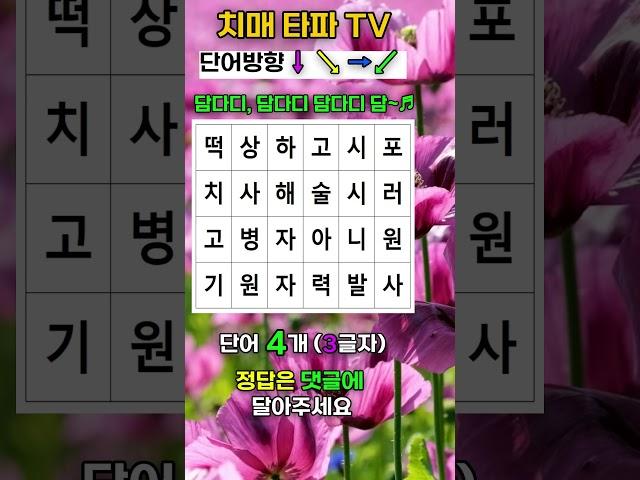 치매없지? 담다디 담!
