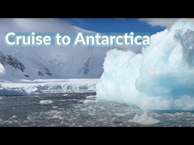 How to Get to Antarctica by Cruise