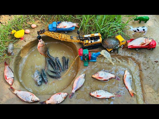 Catch fish using Mini diesel engine water pump | fishing exciting | diy tractor |@Mini Fish Creator