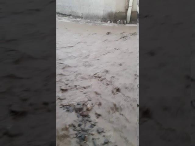 Сел  дар деҳаи Сурх 14 07 20
