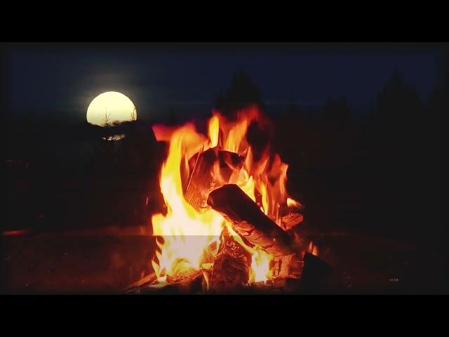 Flames and sounds of campfire at evening 4K