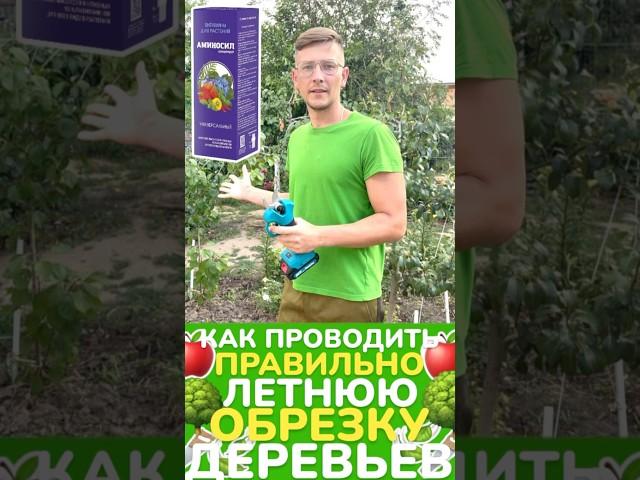 #обрезкадеревьев #обрезкадерева #аминосилконцентрат #обрезкаяблони #летняяобрезкадеревьев #сад