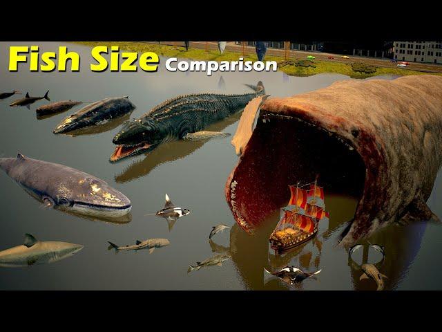 Size Comparison : Fish size  | mammal | Sea Creature | fictional | bloop |whale | Mosasaurus