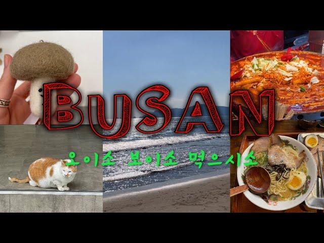 [BUSAN] 부산여행 브이로그 먹고쇼핑하고먹고 x 25837번 반복하면 부산 여행 끝! 해운대, 서면(전포동), 광안리, 영도, 남포동 부지런히 싸돌아댕기기