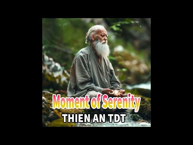 Moment of Serenity - THIEN AN TDT (P.3) Soothing healing relaxation #thienantdt