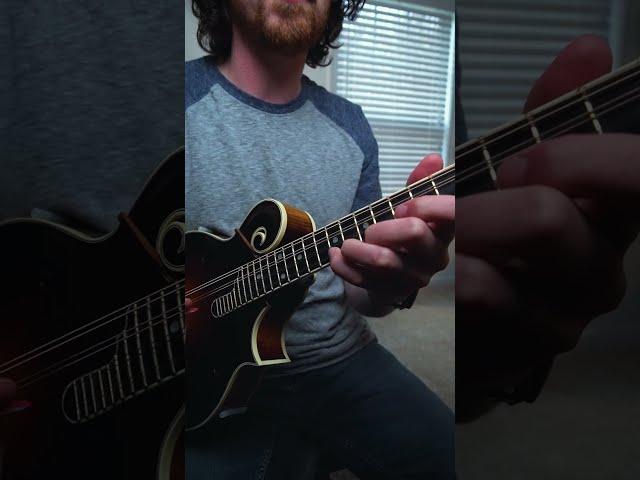 Mandolin Pinkie Beast Mode #shorts